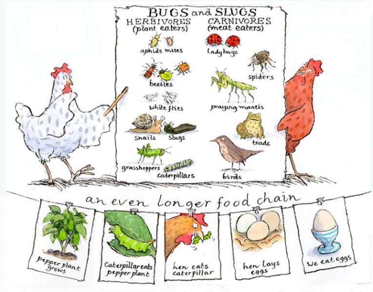 Bugs n Slugs - size: 240 x 200