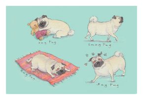 Smug Pugs, card design
